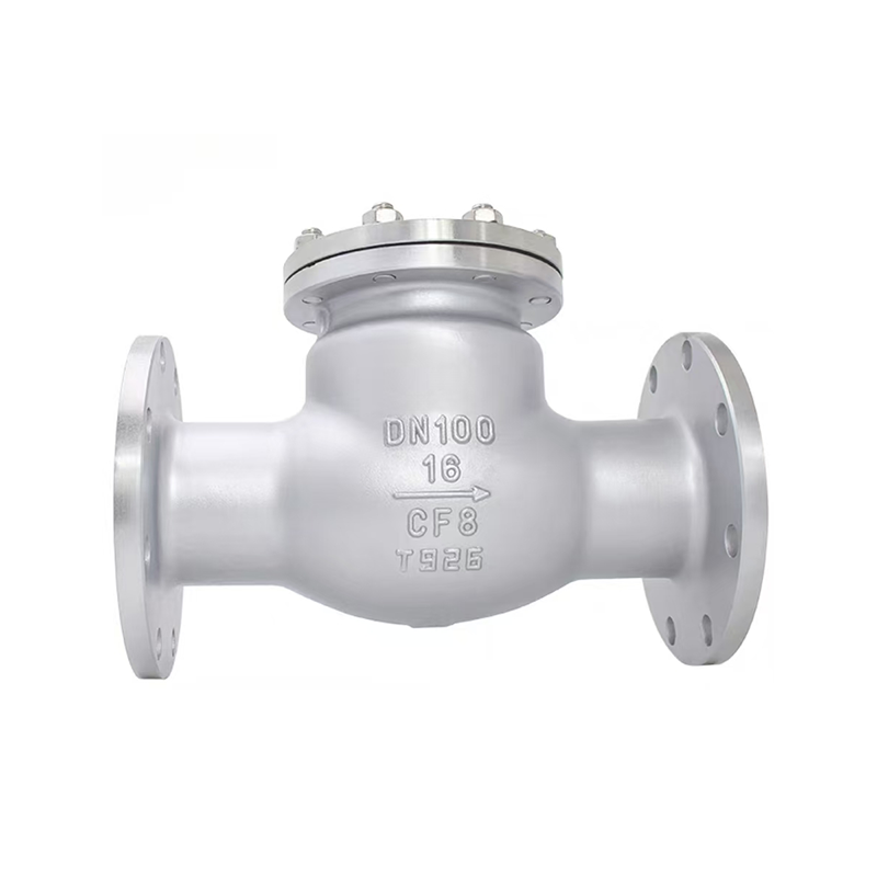 Stainless Steel Swing Check Clot